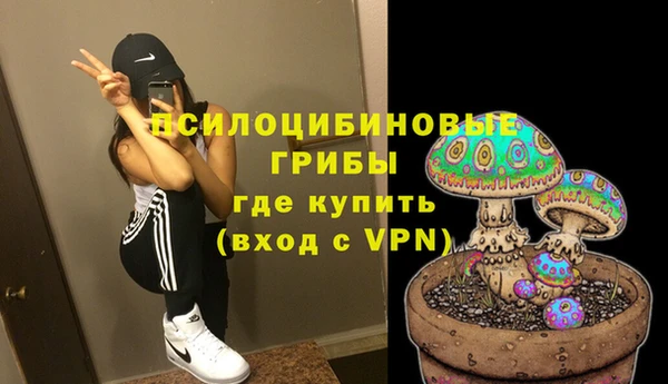 прущая мука Арсеньев